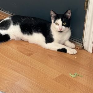 Meet your Posher, Jeni